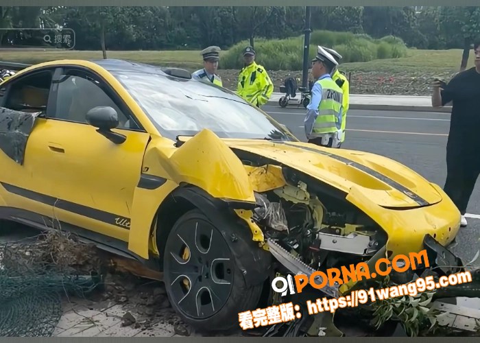 抖音爆火车主小米su7u...（17）