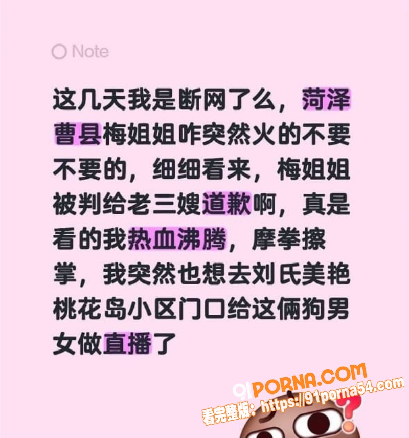 山东曹县抖音网红 梅姐姐...（2）