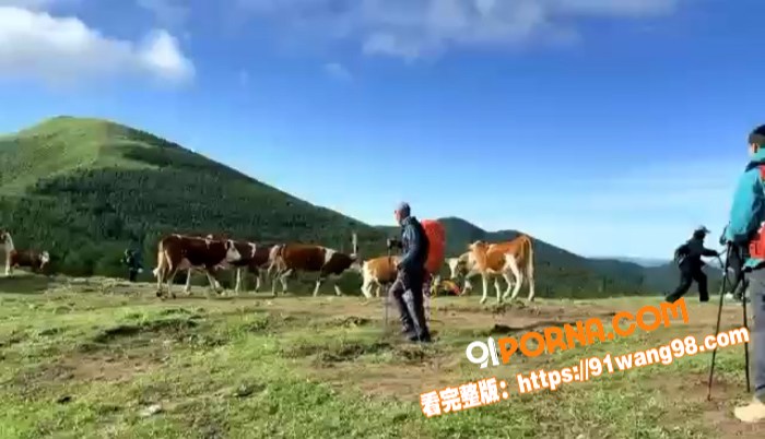 网络热瓜！五台山一男子拿...（3）